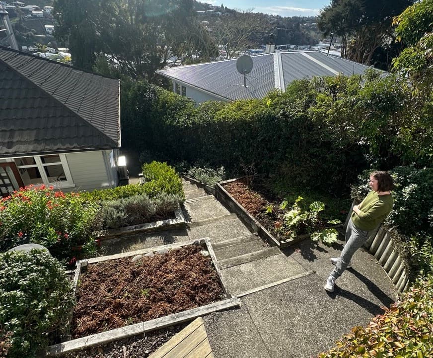 grow own vegetables new zealand alotment