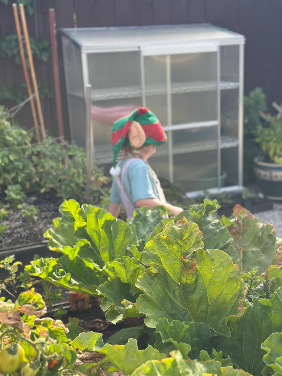 good gardener who loves to garden